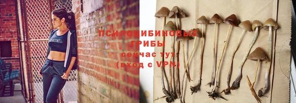 скорость Белокуриха