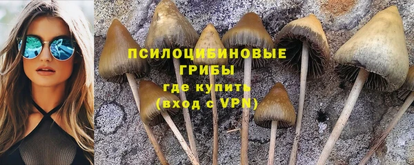 бошки Белоозёрский