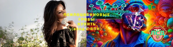 бошки Белоозёрский